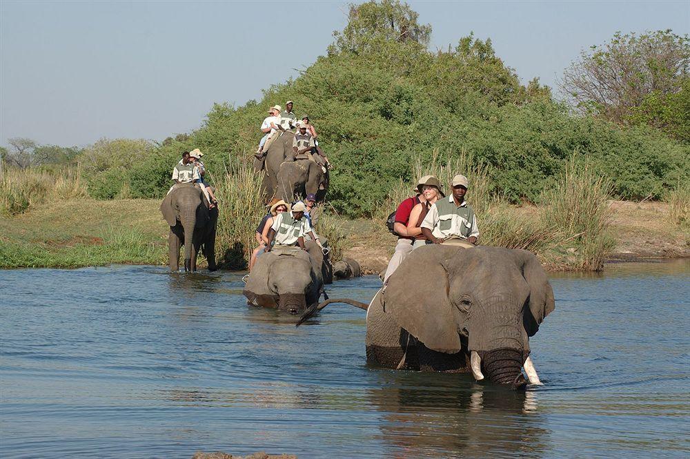 Three Cities Thorntree River Lodge 利文斯顿 外观 照片