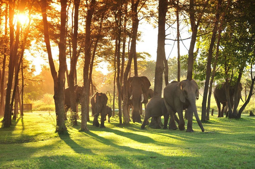 Three Cities Thorntree River Lodge 利文斯顿 外观 照片
